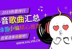 抖音爆料歌曲大全最新版,最新版爆料大全揭晓