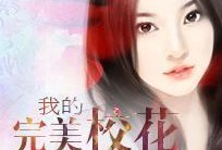 完美婆娘最新爆料小说免费阅读,揭秘小说中的神秘世界，免费阅读带你领略精彩剧情