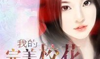 完美婆娘最新爆料小说免费阅读,揭秘小说中的神秘世界，免费阅读带你领略精彩剧情