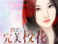 完美婆娘最新爆料小说免费阅读,揭秘小说中的神秘世界，免费阅读带你领略精彩剧情